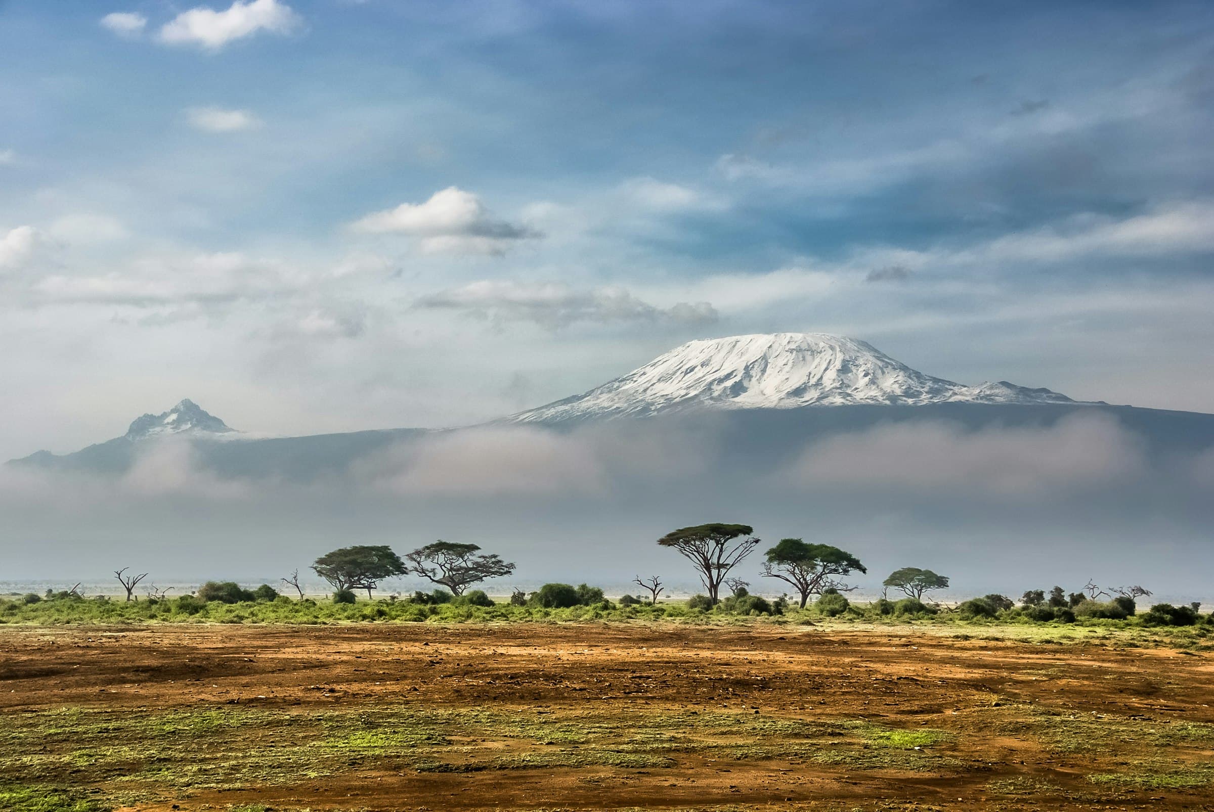 Mount Kilimanjaro rising above the savannah with acacia trees