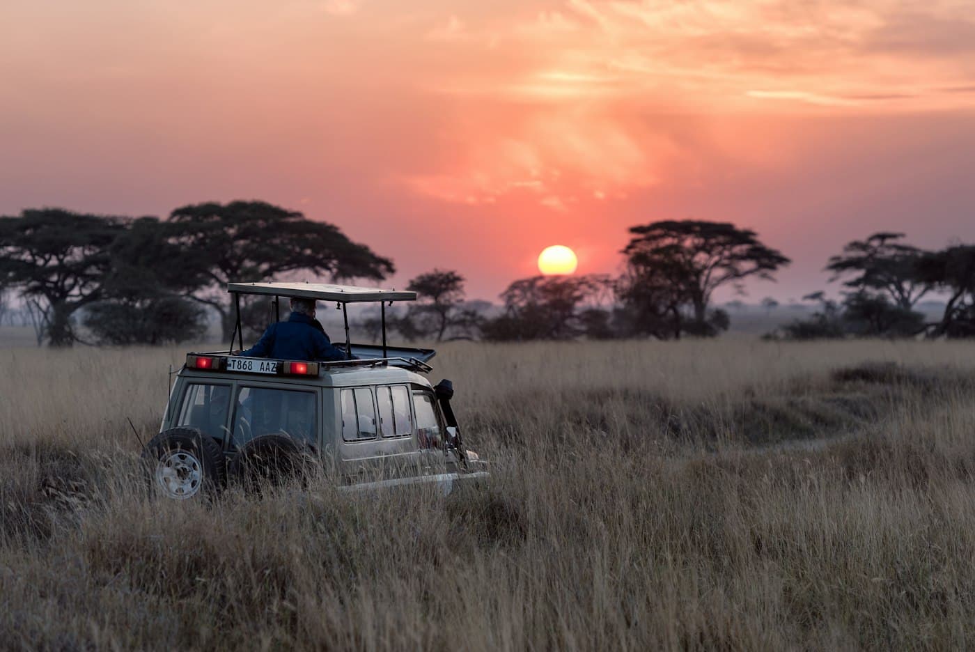 A safari vehicle crossing the savannah at sunset